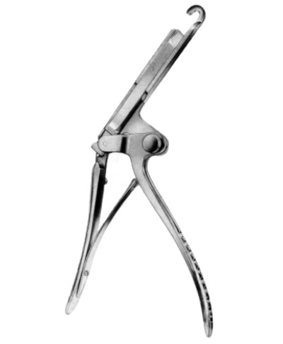 Sauerbruch Rib Shear Adult 26cm