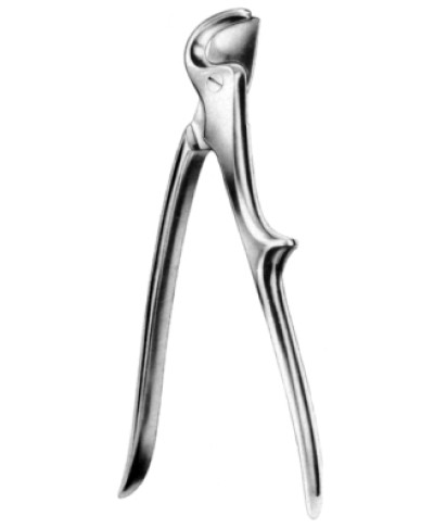Bone and Rib Shear 22cm