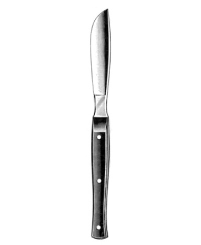 Virchow Brain Knife hollow handle 33.5cm, Blade size 200mm