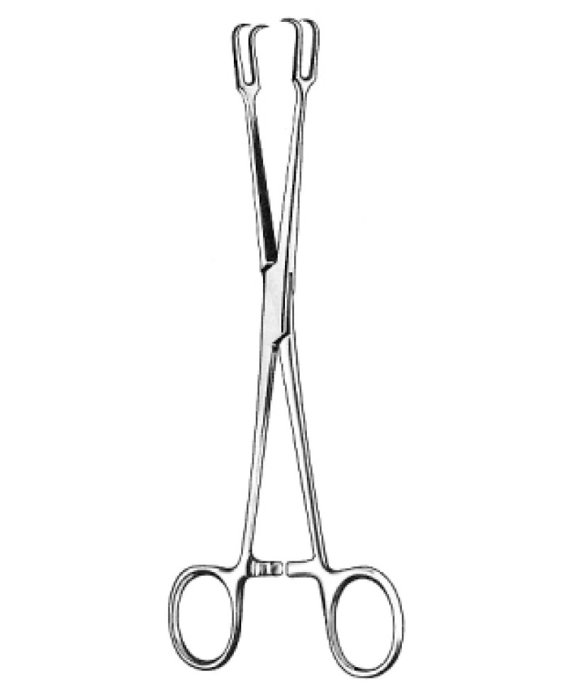Museux Tonsil Seizing Fcps 20cm
