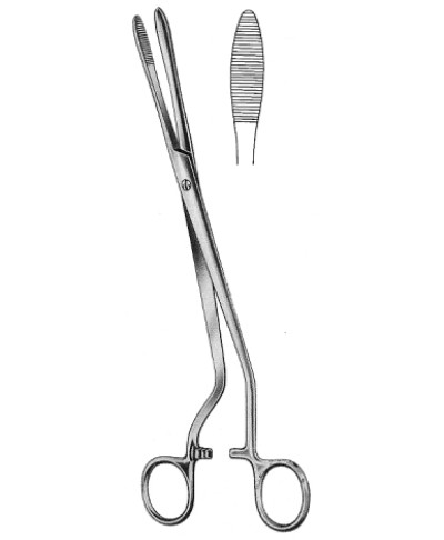 Cheron Dressing Fcps S/J 25cm