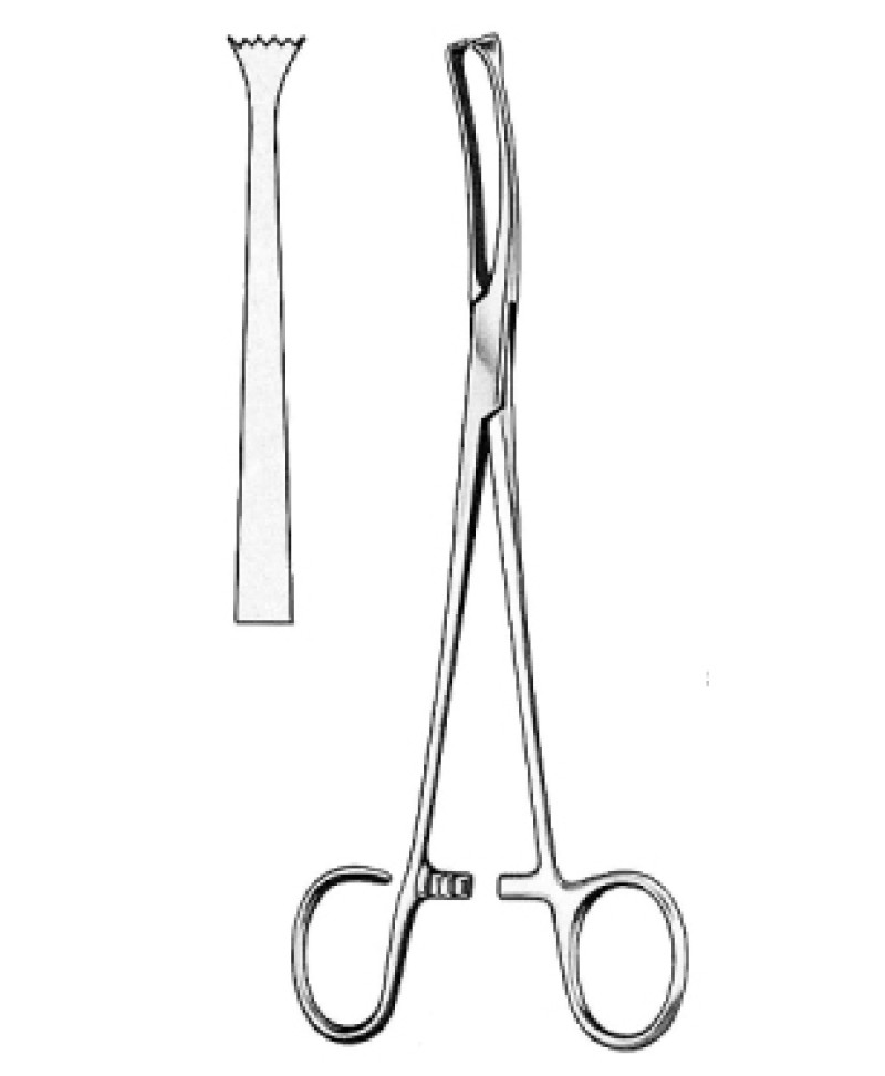 Colver Tonsil Seizing Fcps 19cm