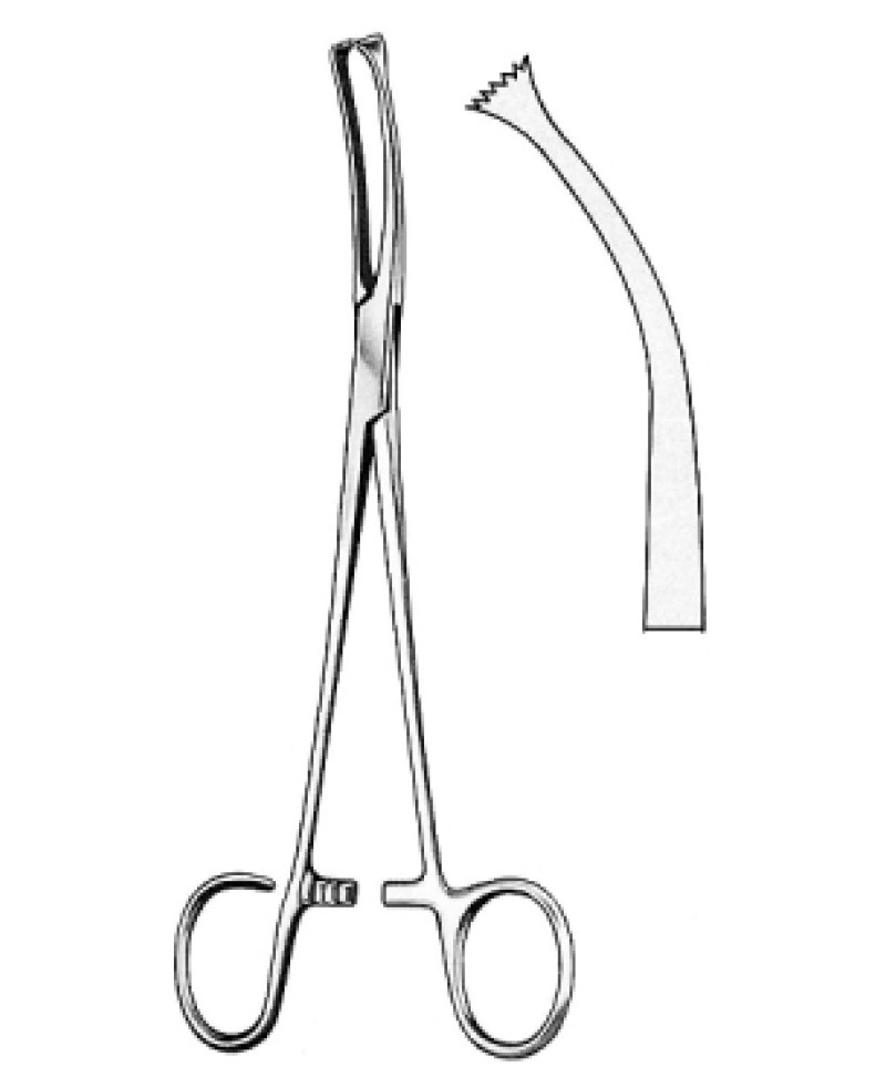 Colver Tonsil Seizing Fcps 19cm