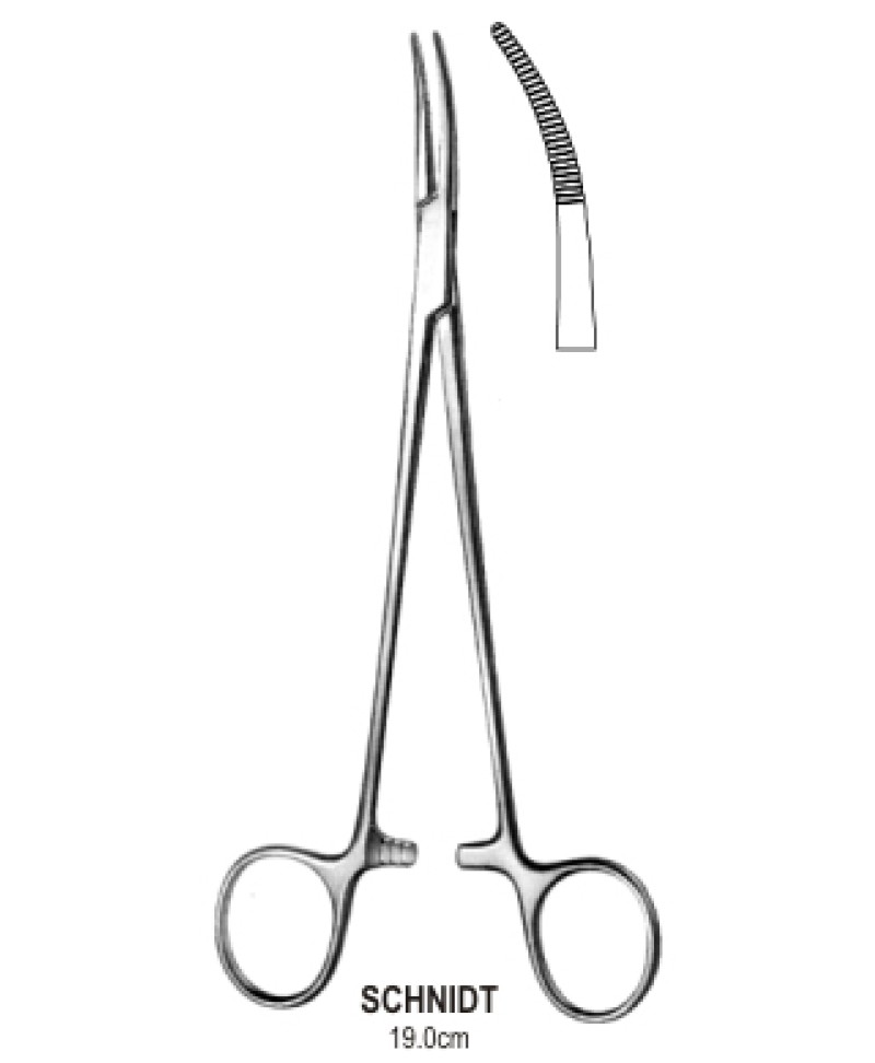 Schnidt Tonsil Fcps closed ring S/cvd 19cm