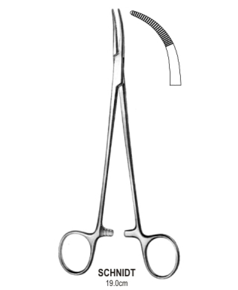 Sawtell Tonsil Fcps F/cvd closed ring 19cm
