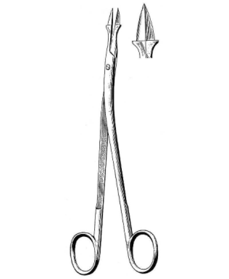 Mcwhopter Lothrop tonsil H/static Fcps 18cm