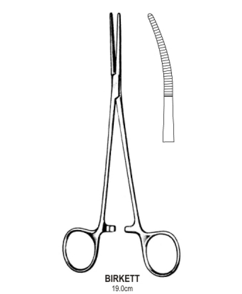 Birkett Tonsil Artery Fcps str 19cm