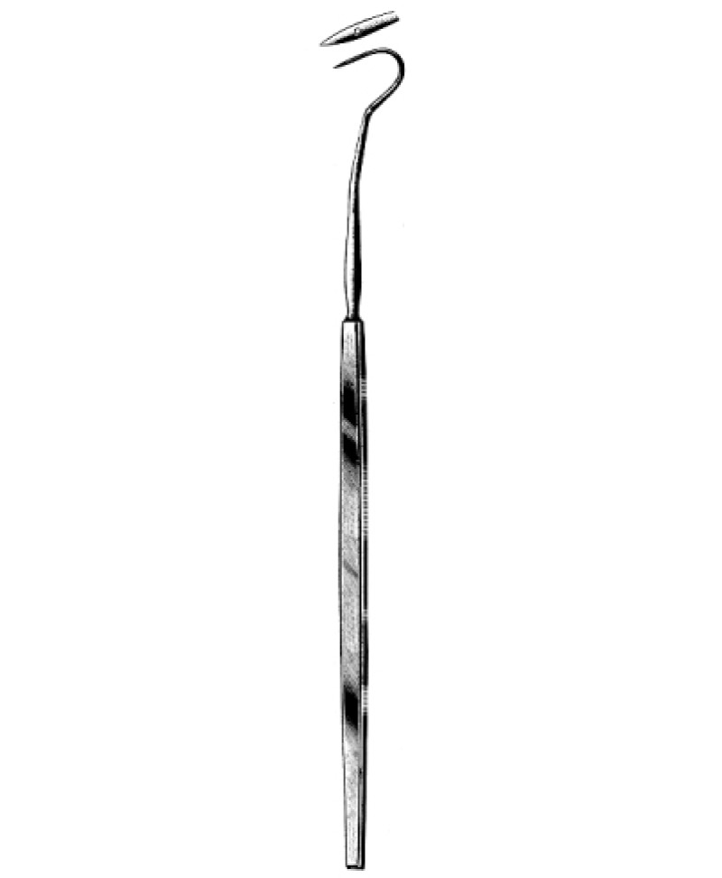 Claus Eicken Tonsil Needle 23cm