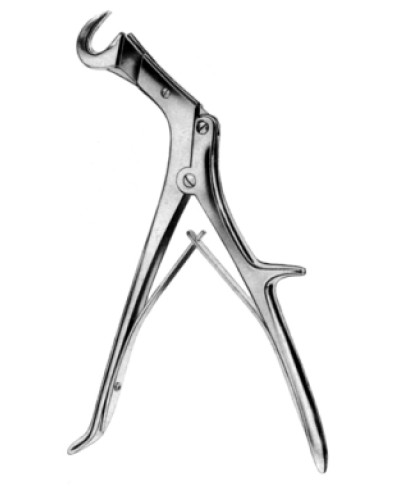 Lebsche Rib Shear 25cm