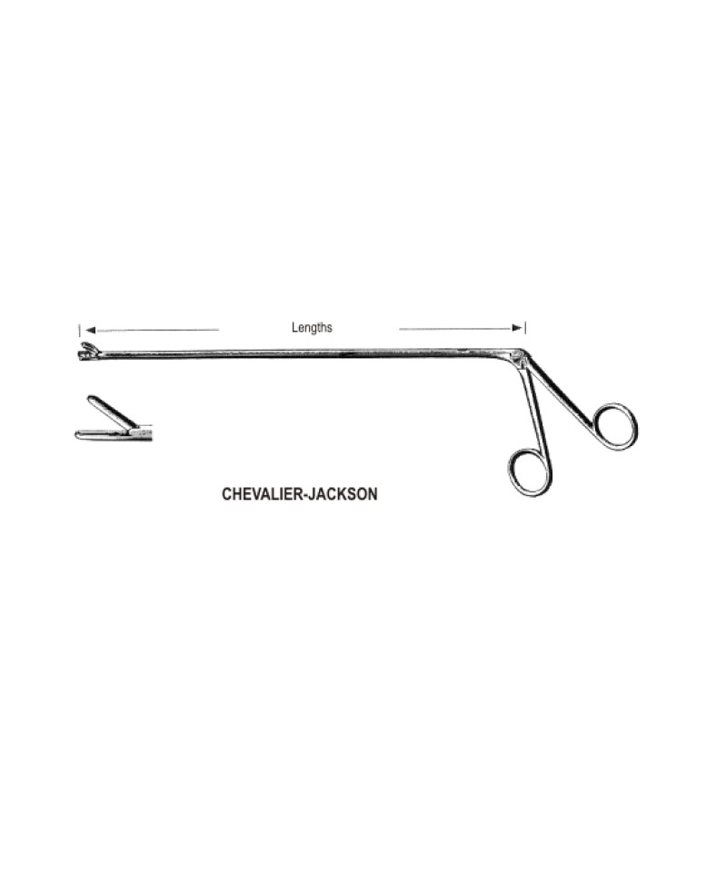Chevalier Jackson Fcps Fig.6, 40cm