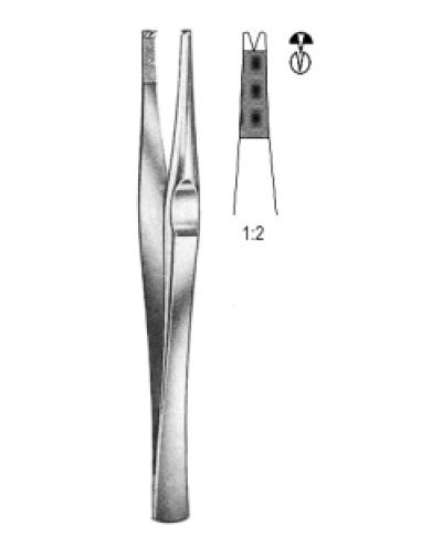 Lanes Tissue Fcps 1x2T 15cm