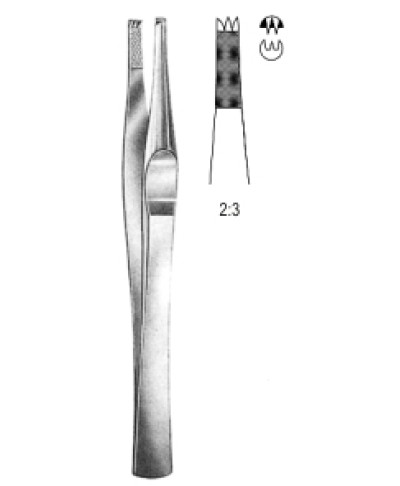 Lanes Tissue Fcps 2x3T 12.5cm