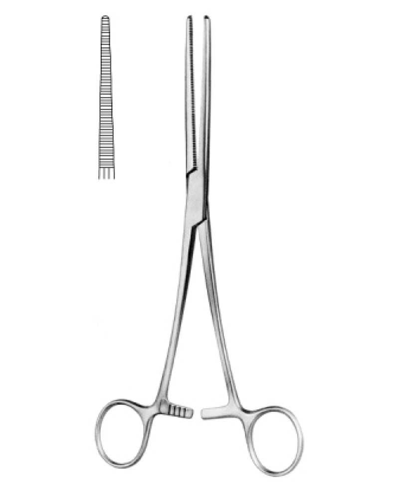 Rochester Pean Hemostatic Fcps str 13cm
