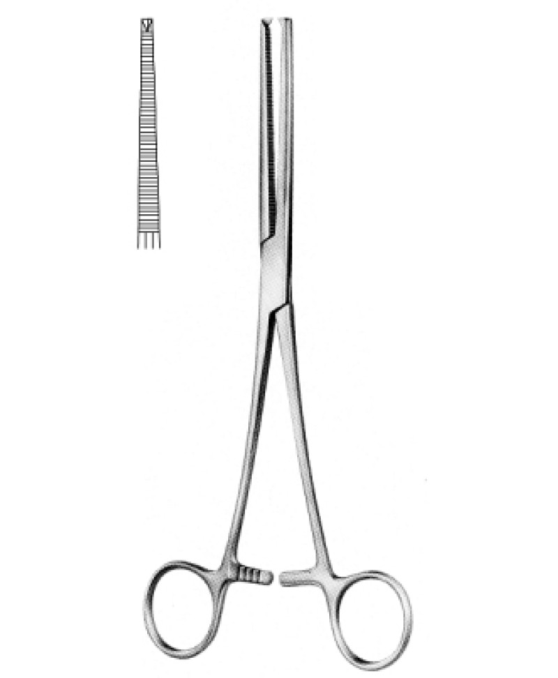 Rochester Ochsner Fcps str 14cm