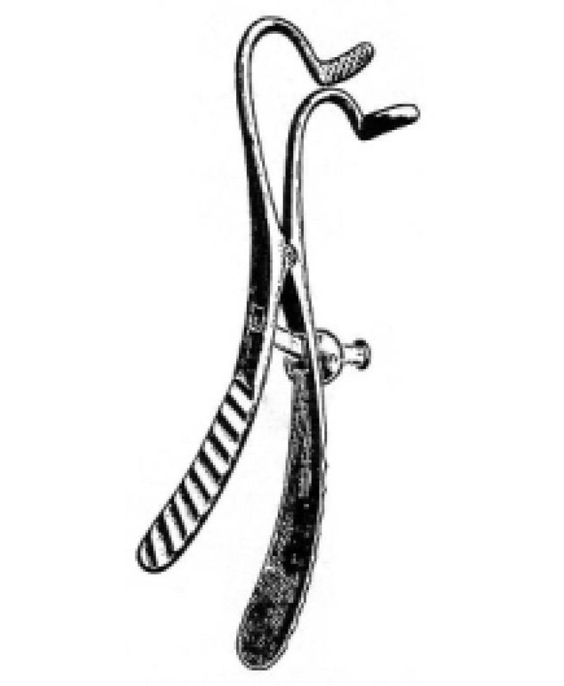 Mason Mouth Gag Ackland jaws 15cm