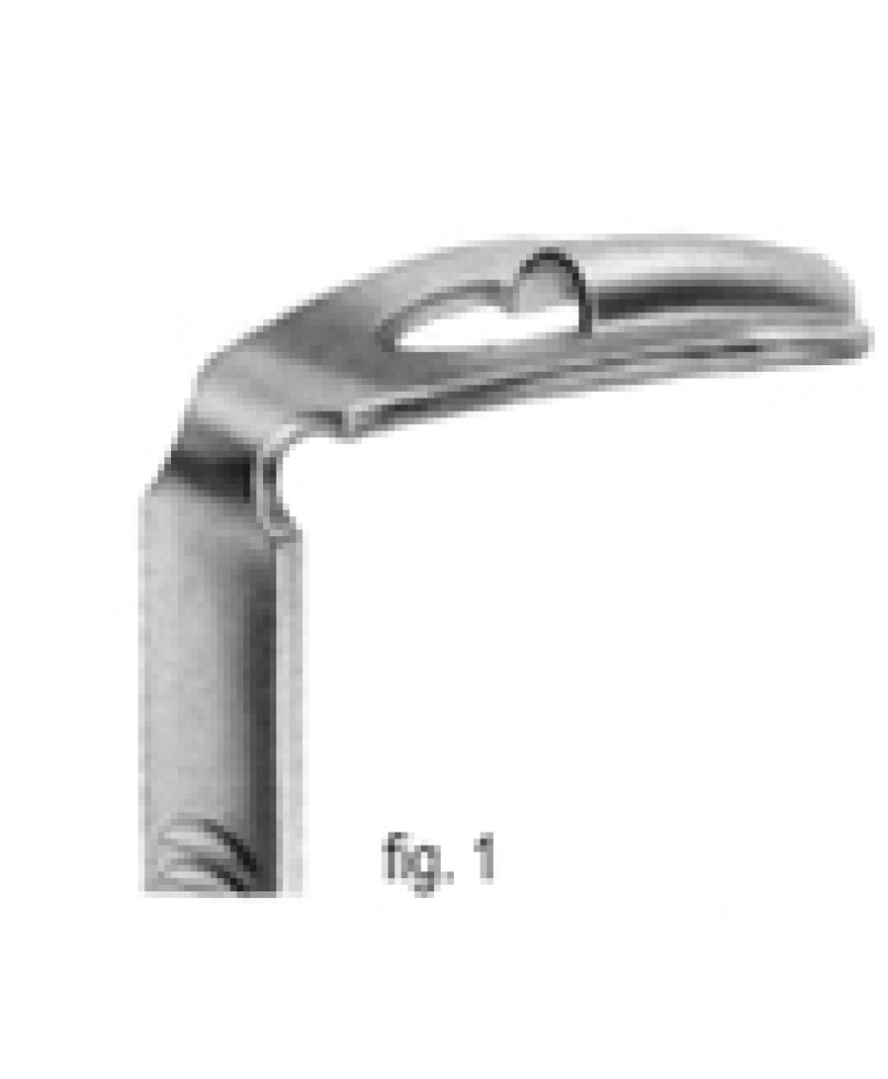 Tongue Plate for Kilner Doughty Gag Fig.1