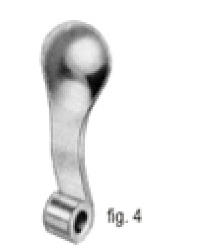 Palatal Support for toothless Fig.4